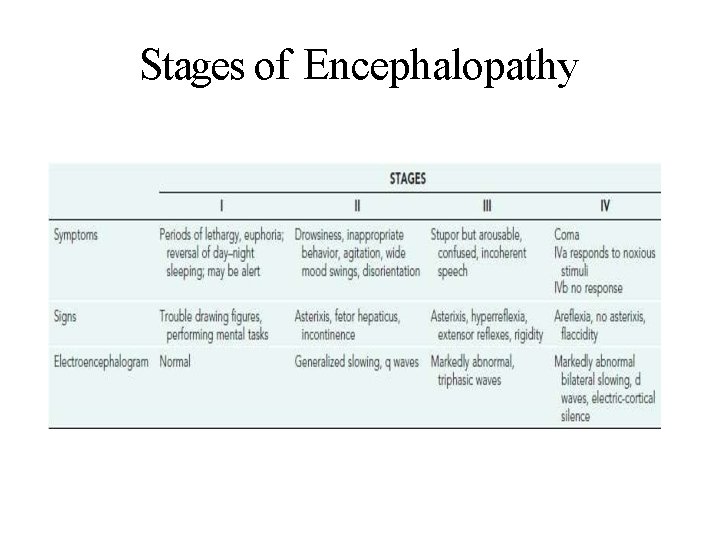 Stages of Encephalopathy 