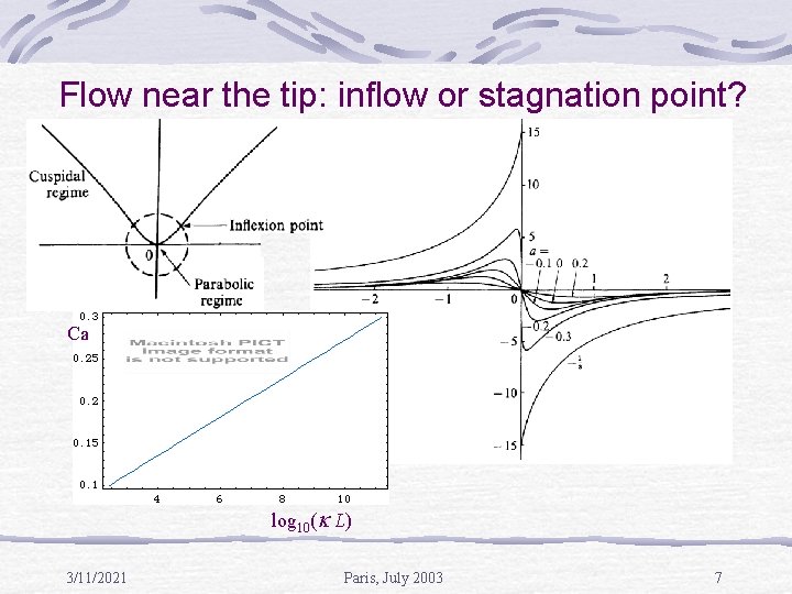 Flow near the tip: inflow or stagnation point? Ca log 10( L) 3/11/2021 Paris,