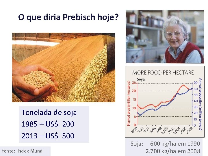 O que diria Prebisch hoje? Tonelada de soja 1985 – US$ 200 2013 –