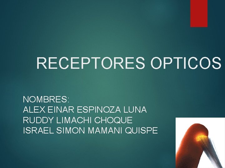 RECEPTORES OPTICOS NOMBRES: ALEX EINAR ESPINOZA LUNA RUDDY LIMACHI CHOQUE ISRAEL SIMON MAMANI QUISPE