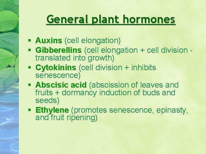 General plant hormones Auxins (cell elongation) Auxins Gibberellins (cell elongation + cell division -