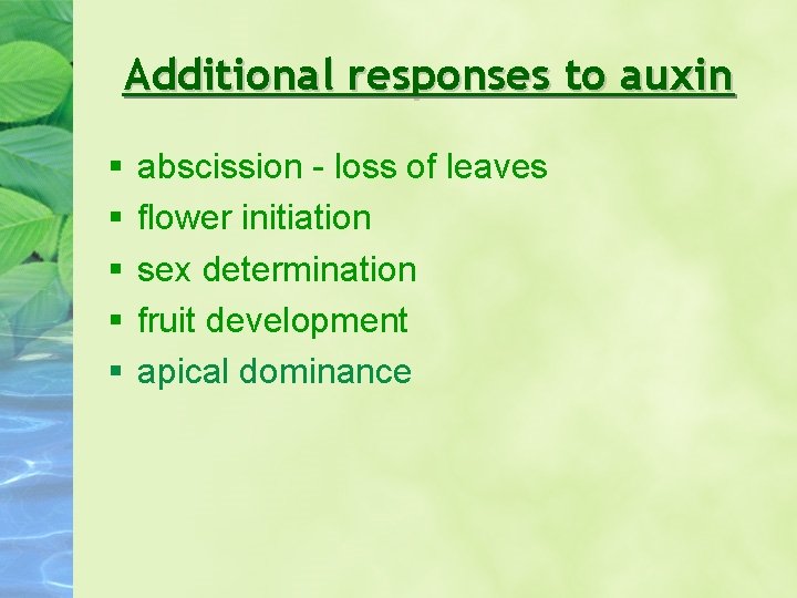 Additional responses to auxin abscission - loss of leaves flower initiation sex determination fruit