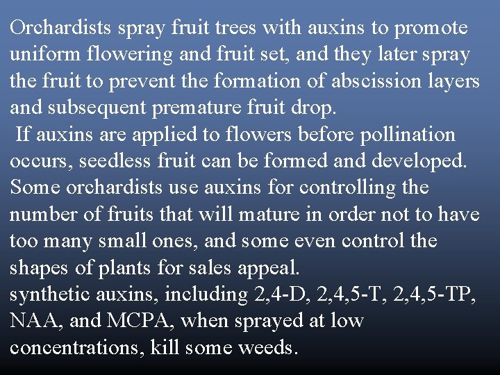 Orchardists spray fruit trees with auxins to promote uniform flowering and fruit set, and