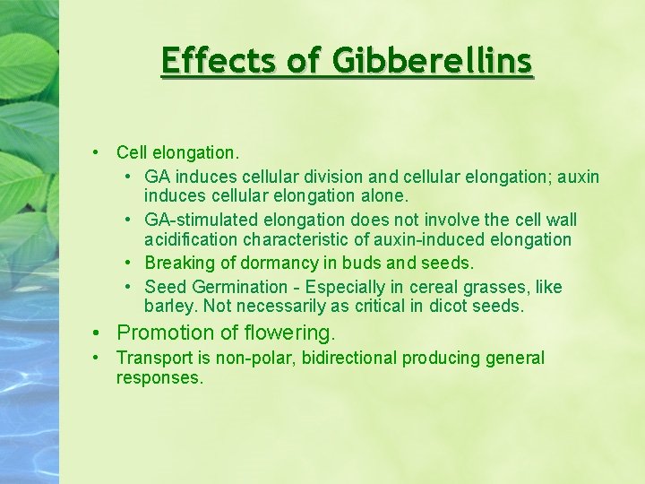 Effects of Gibberellins • Cell elongation. • GA induces cellular division and cellular elongation;
