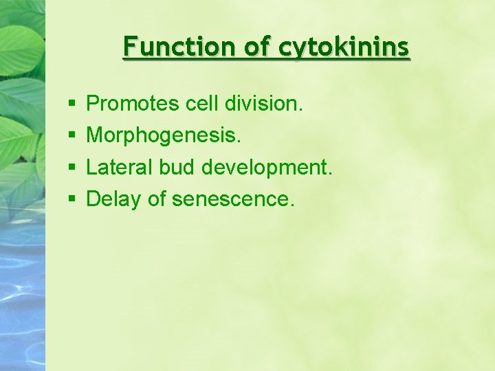 Function of cytokinins Promotes cell division. Morphogenesis. Lateral bud development. Delay of senescence. 