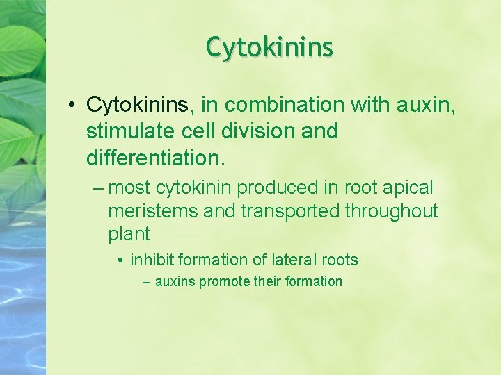 Cytokinins • Cytokinins, in combination with auxin, stimulate cell division and differentiation. – most