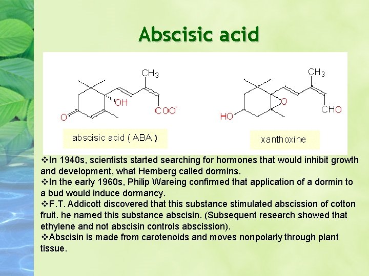 Abscisic acid In 1940 s, scientists started searching for hormones that would inhibit growth