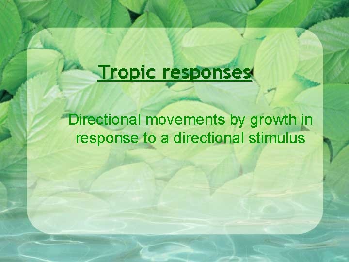 Tropic responses Directional movements by growth in response to a directional stimulus 