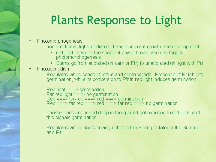 Plants Response to Light • • Photomorphogenesis – nondirectional, light-mediated changes in plant growth