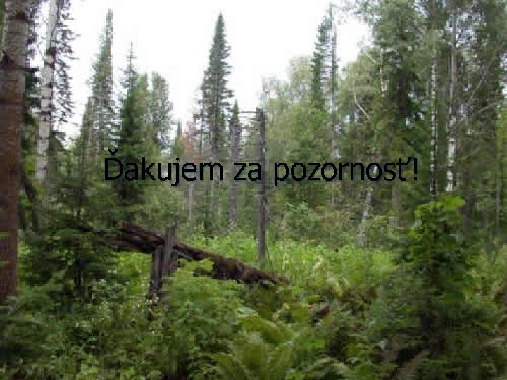 Ďakujem za pozornosť! 