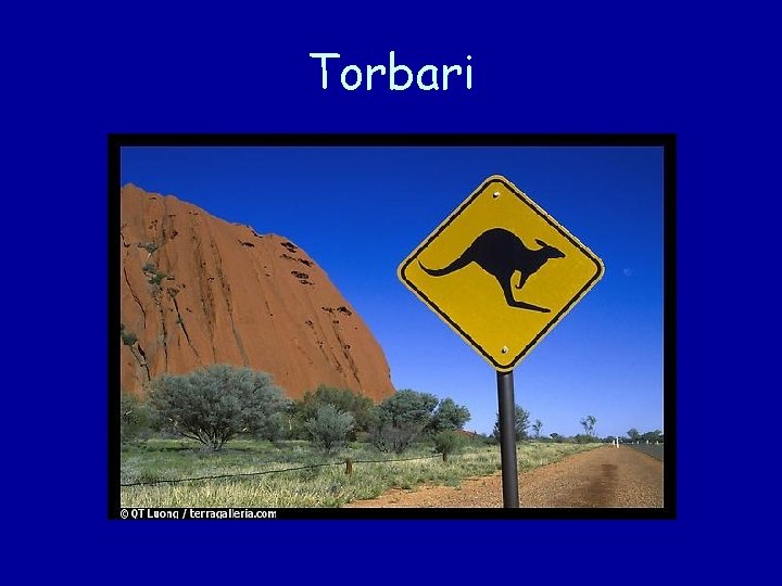 Torbari 