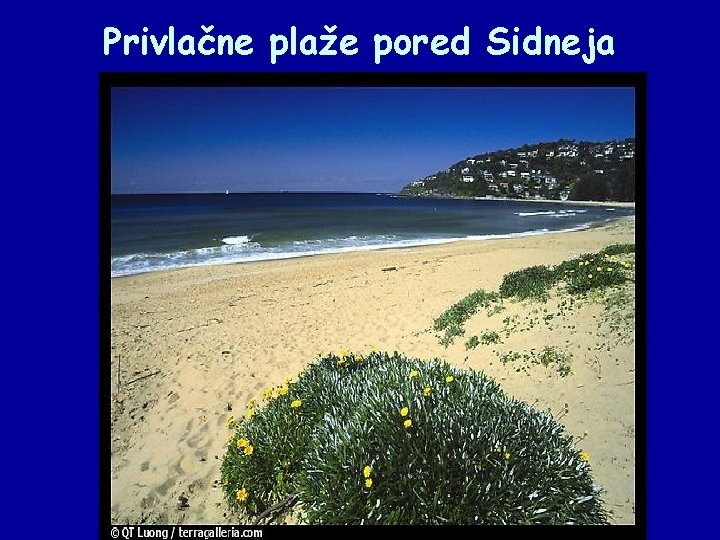 Privlačne plaže pored Sidneja 