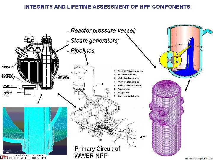 INTEGRITY AND LIFETIME ASSESSMENT OF NPP COMPONENTS - Reactor pressure vessel; - Steam generators;