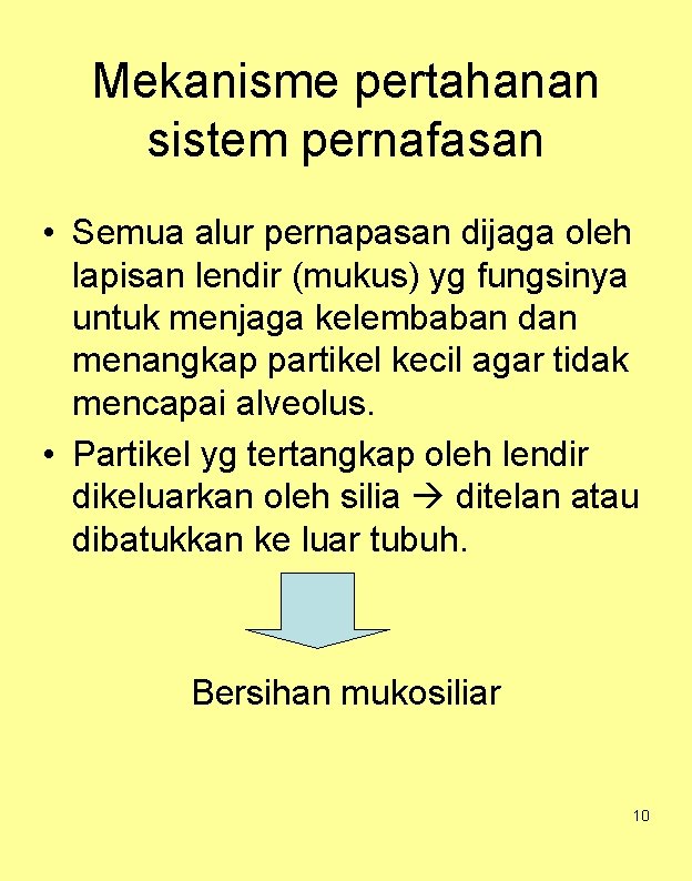 Mekanisme pertahanan sistem pernafasan • Semua alur pernapasan dijaga oleh lapisan lendir (mukus) yg