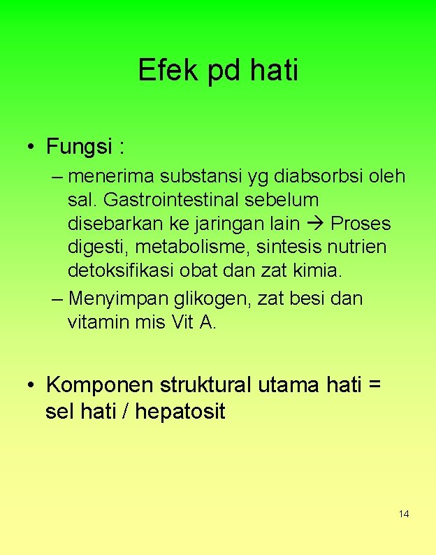 Efek pd hati • Fungsi : – menerima substansi yg diabsorbsi oleh sal. Gastrointestinal