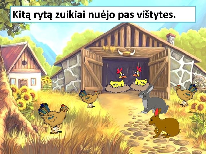 Kitą rytą zuikiai nuėjo pas vištytes. 