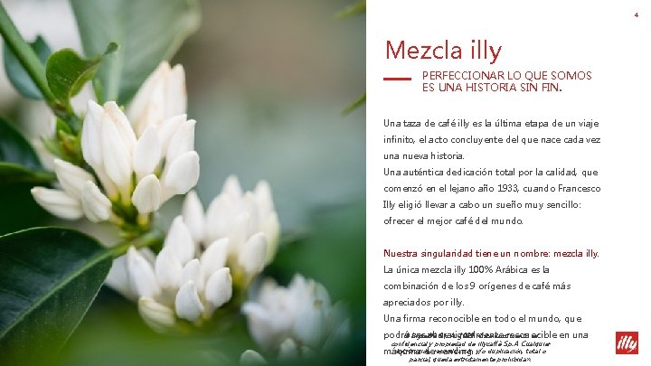 4 Mezcla illy PERFECCIONAR LO QUE SOMOS ES UNA HISTORIA SIN FIN. Una taza 4 Mezcla illy PERFECCIONAR LO QUE SOMOS ES UNA HISTORIA SIN FIN. Una taza