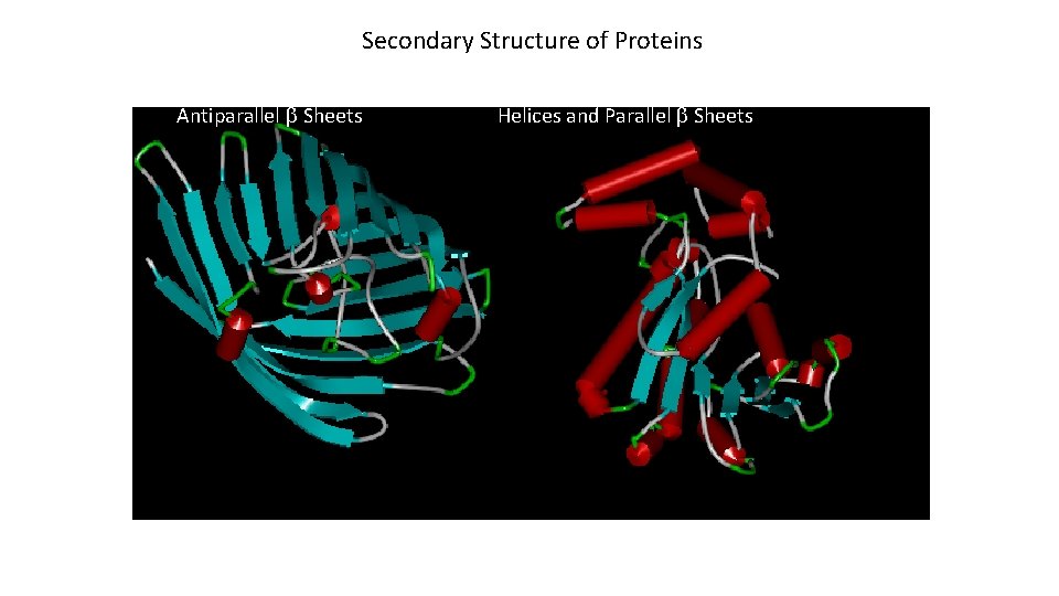 Secondary Structure of Proteins Antiparallel b Sheets Helices and Parallel b Sheets 
