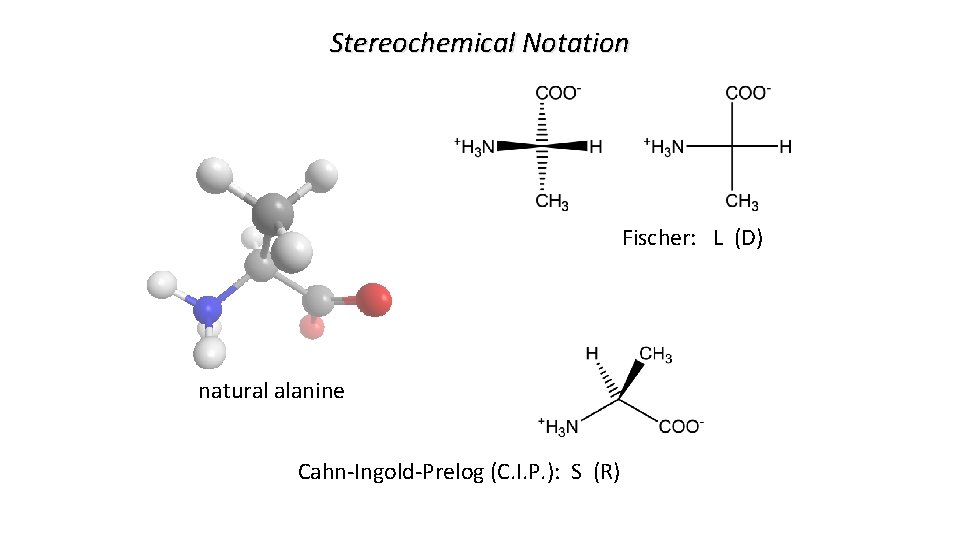 Stereochemical Notation Fischer: L (D) natural alanine Cahn-Ingold-Prelog (C. I. P. ): S (R)