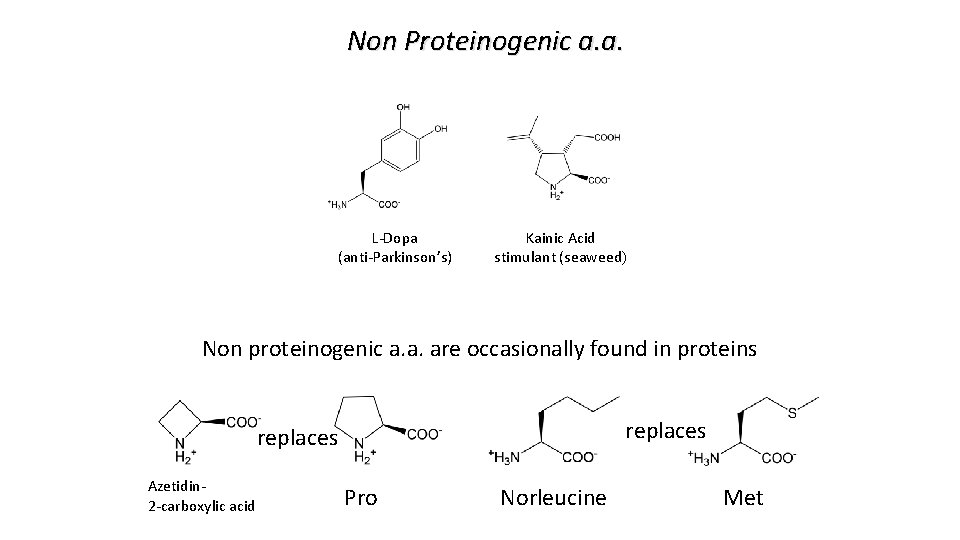 Non Proteinogenic a. a. L-Dopa (anti-Parkinson’s) Kainic Acid stimulant (seaweed) Non proteinogenic a. a.