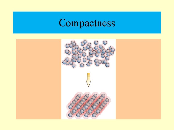 Compactness 