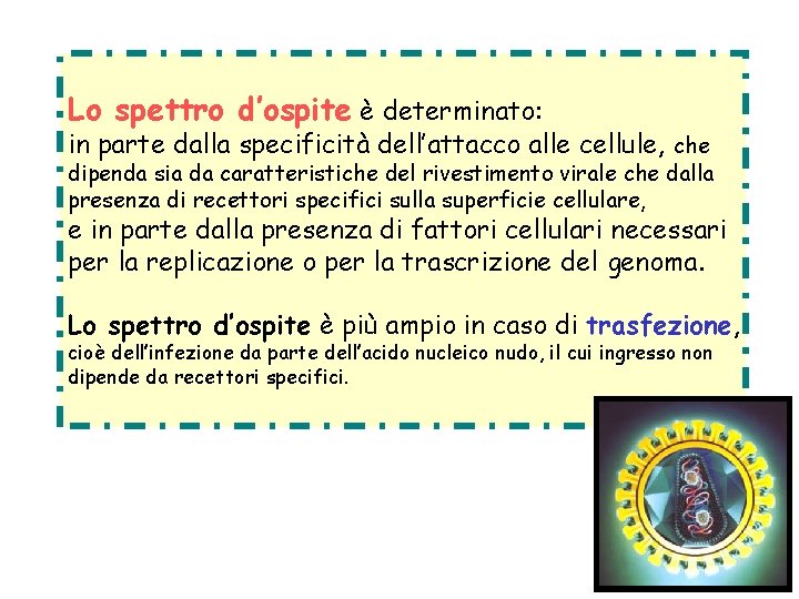 Lo spettro d’ospite è determinato: in parte dalla specificità dell’attacco alle cellule, che dipenda