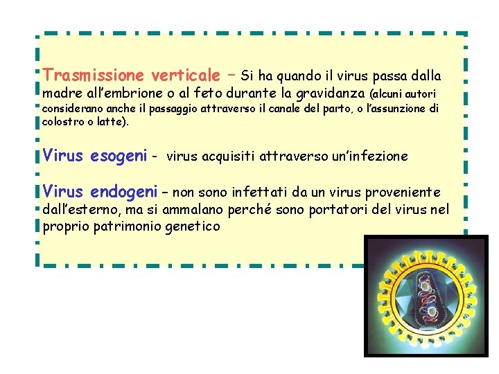Trasmissione verticale – Si ha quando il virus passa dalla madre all’embrione o al
