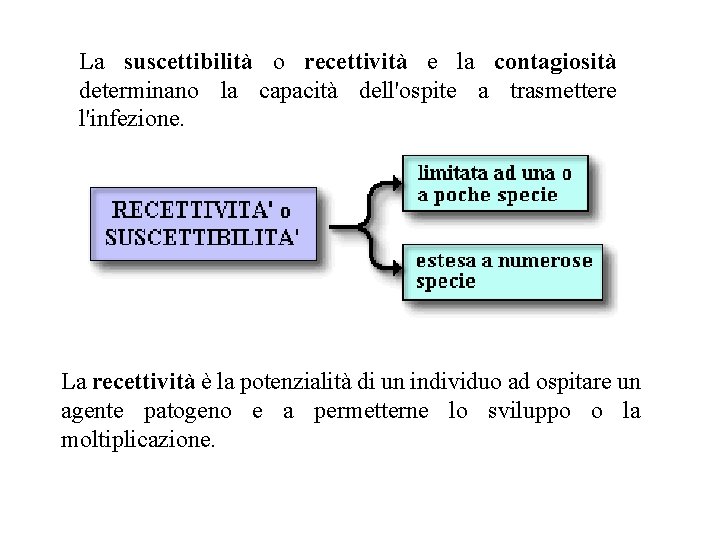 La suscettibilità o recettività e la contagiosità determinano la capacità dell'ospite a trasmettere l'infezione.