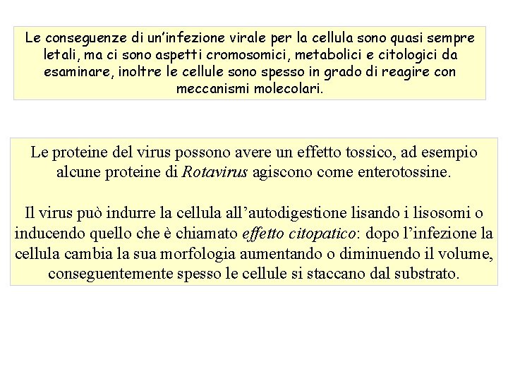 Le conseguenze di un’infezione virale per la cellula sono quasi sempre letali, ma ci