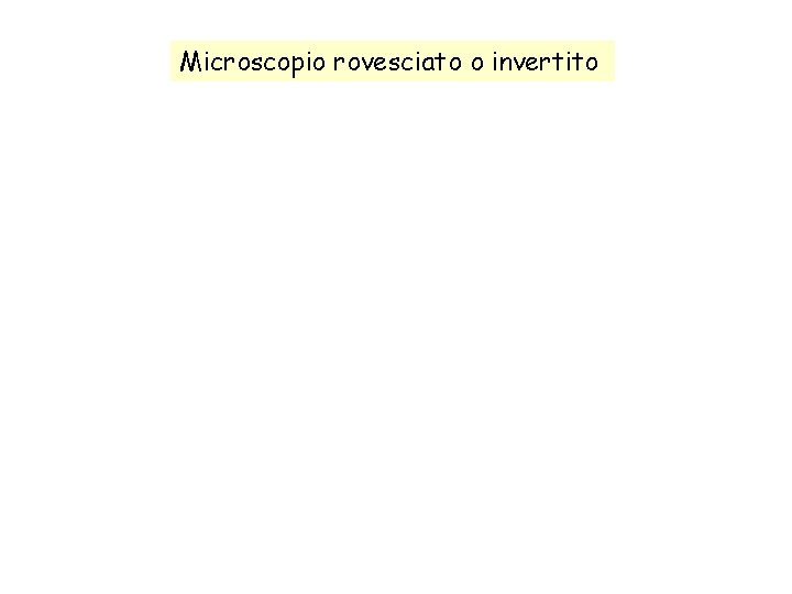 Microscopio rovesciato o invertito 