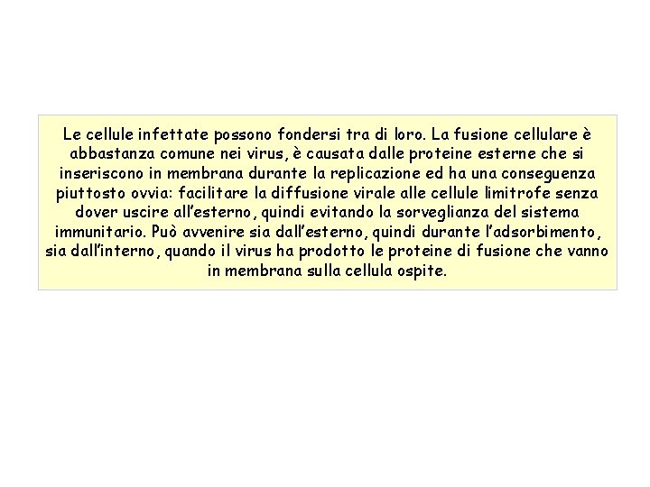 Le cellule infettate possono fondersi tra di loro. La fusione cellulare è abbastanza comune
