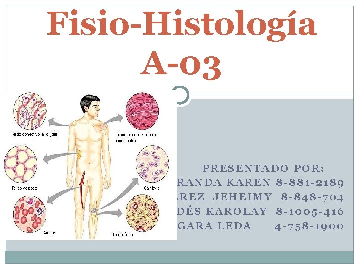 Fisio-Histología A-03 PRESENTADO POR: MIRANDA KAREN 8 -881 -2189 PÉREZ JEHEIMY 8 -848 -704
