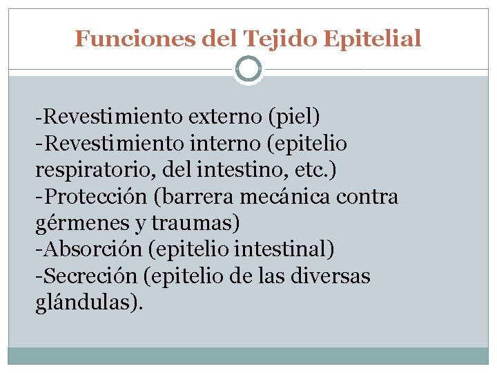 Funciones del Tejido Epitelial -Revestimiento externo (piel) -Revestimiento interno (epitelio respiratorio, del intestino, etc.