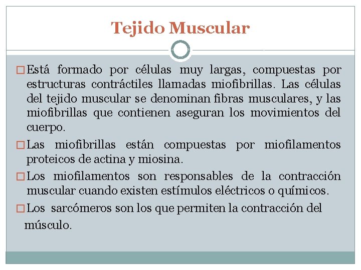 Tejido Muscular � Está formado por células muy largas, compuestas por estructuras contráctiles llamadas