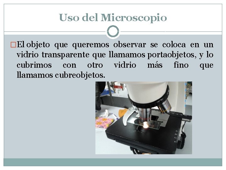Uso del Microscopio �El objeto queremos observar se coloca en un vidrio transparente que