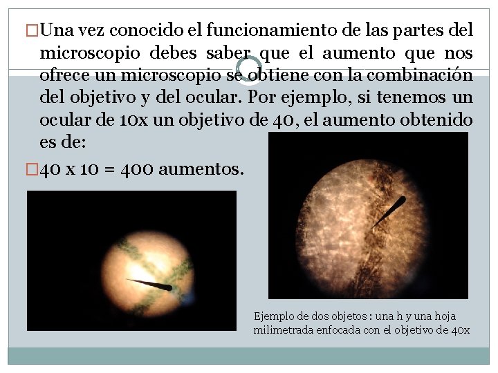 �Una vez conocido el funcionamiento de las partes del microscopio debes saber que el