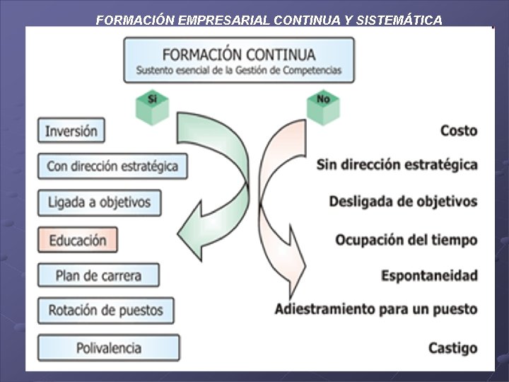FORMACIÓN EMPRESARIAL CONTINUA Y SISTEMÁTICA 