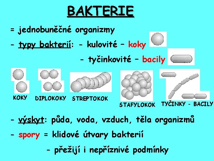 BAKTERIE = jednobuněčné organizmy - typy bakterií: - kulovité – koky - tyčinkovité –