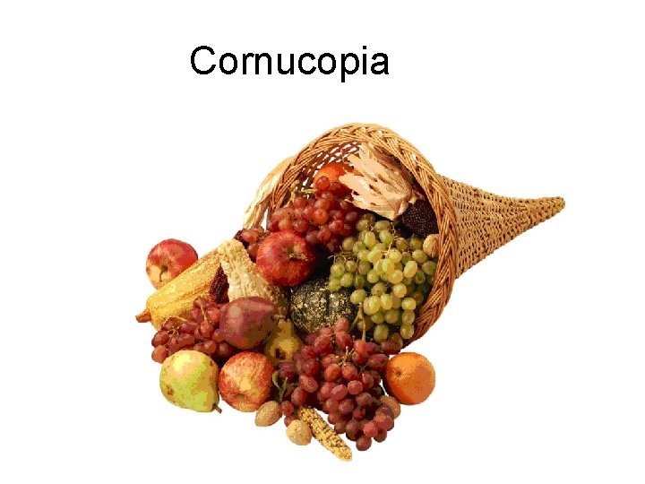 Cornucopia 