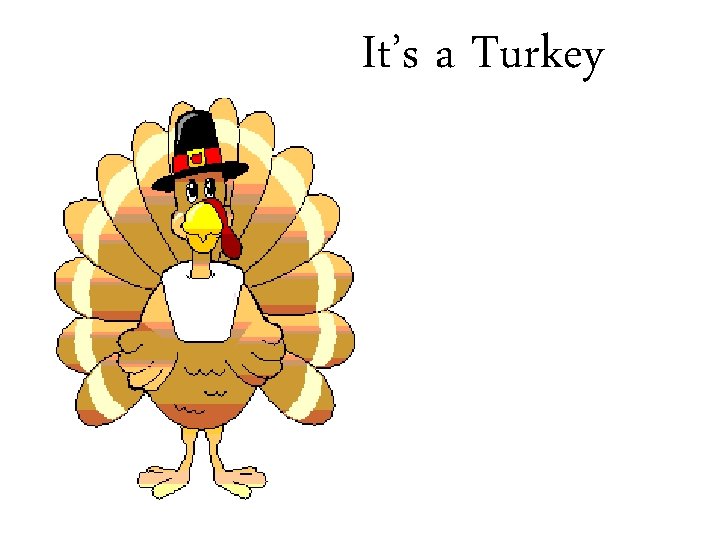 It’s a Turkey 