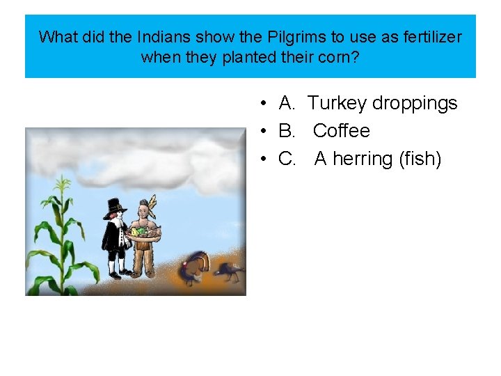 What did the Indians show the Pilgrims to use as fertilizer when they planted