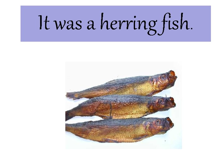 It was a herring fish. 