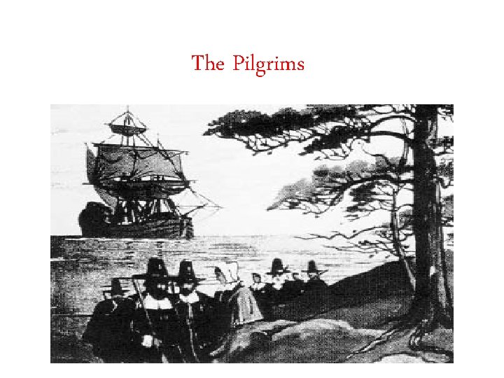 The Pilgrims 
