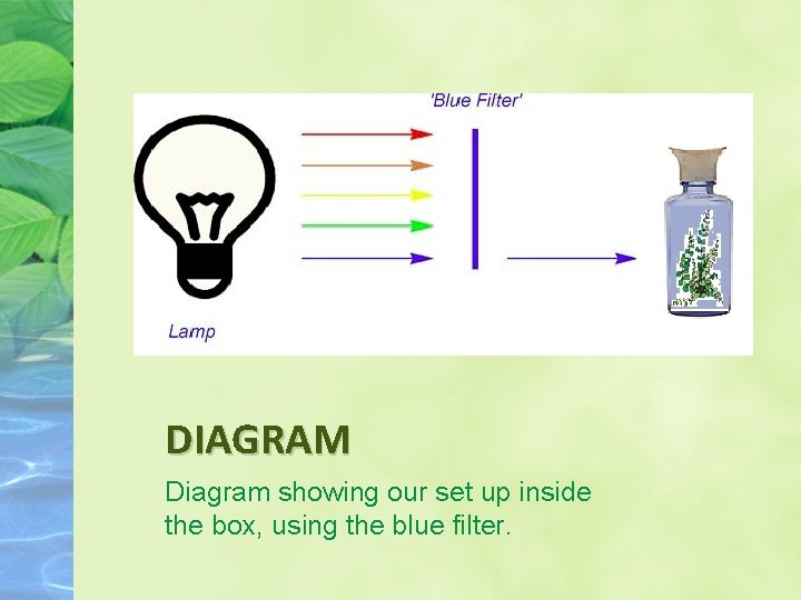 DIAGRAM Diagram showing our set up inside the box, using the blue filter. DIAGRAM Diagram showing our set up inside the box, using the blue filter.
