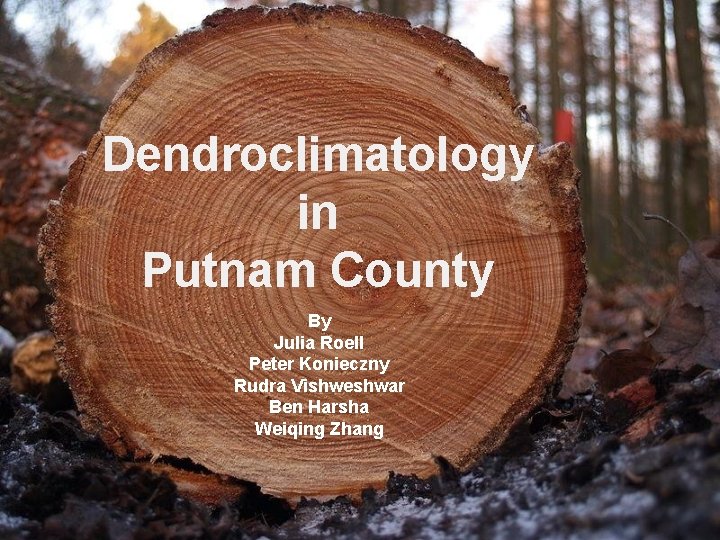 Dendroclimatology in Putnam County By Julia Roell Peter Konieczny Rudra Vishweshwar Ben Harsha Weiqing