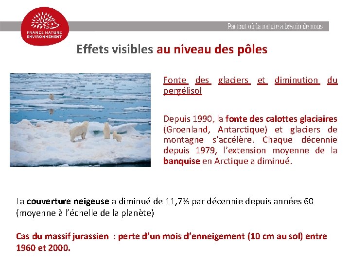 Effets visibles au niveau des pôles Fonte des glaciers et diminution du pergélisol Depuis