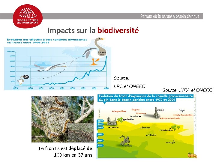 Impacts sur la biodiversité Source: LPO et ONERC Le front s'est déplacé de 100