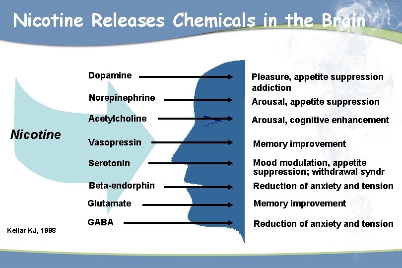 Nicotine Releases Chemicals in the Brain Nicotine Kellar KJ, 1998 Dopamine Pleasure, appetite suppression