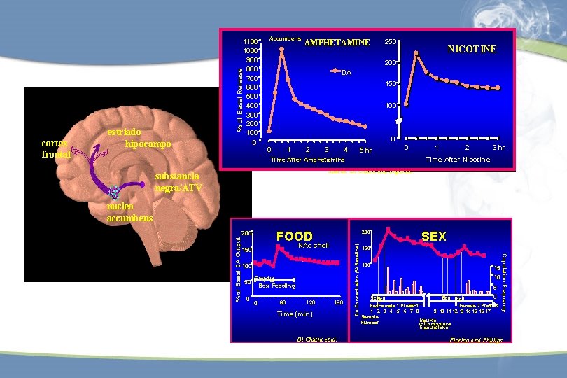 Accumbens 250 AMPHETAMINE NICOTINE % of Basal Release 200 DA 150 100 0 0