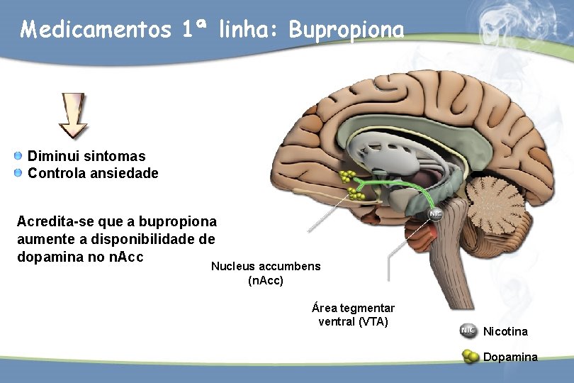 Medicamentos 1ª linha: Bupropiona Diminui sintomas Controla ansiedade Acredita-se que a bupropiona aumente a